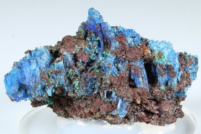 Vibrant Blue Chalcanthite with Malachite - Planet Mine, Arizona #185982